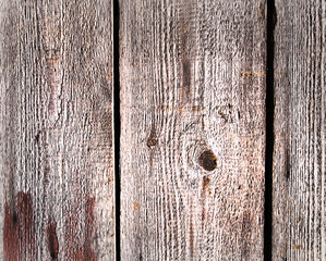 Drewniane tło © Zbyszek Nowak