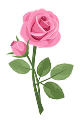 Pink rose with stem isolated on white. Vector illustration.