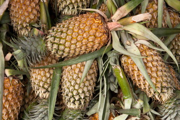 ananas