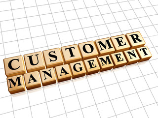 customer management in golden cubes