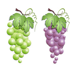 grapes