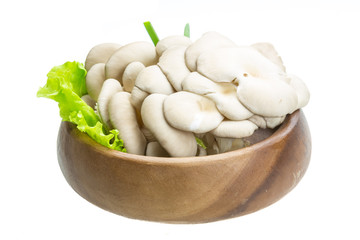 Fresh Fungus