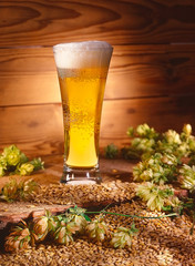 A glass of beer with ingredients