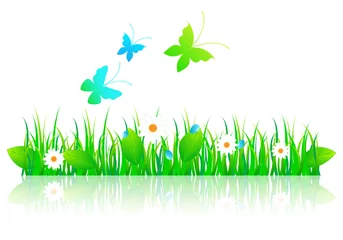 Photo sur Plexiglas Papillon Belle illustration de printemps vert