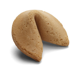 Chinese Fortune Cookie
