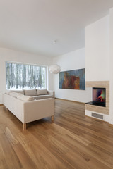 Designers interior - living room with fireplace