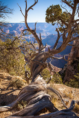 Grand Canyon, USA