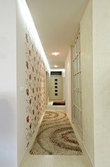 modern home antechamber