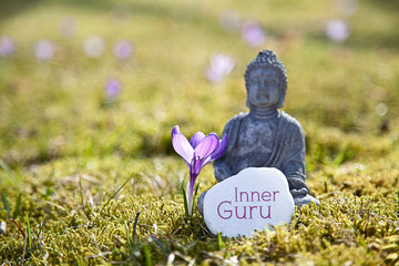 Inner Guru