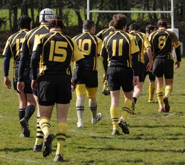 Fototapeta premium l'équipe de rugby