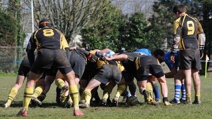 Fototapeta premium la mêlée au rugby