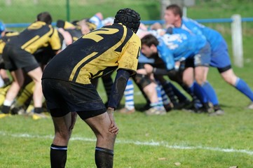 Fototapeta premium scrum w rugby