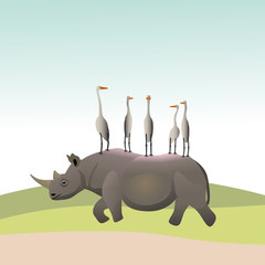 Rhino and the Heron