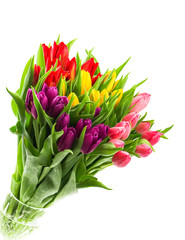 bouquet of fresh multicolor tulips over white