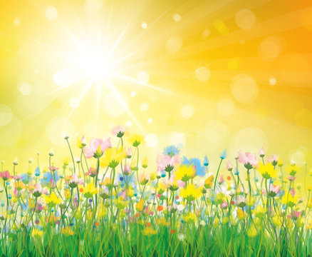 Vector of colorful flowers on sunny background.