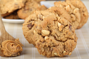 Peanut Butter Cookie Closeup
