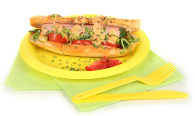 Delicious hot dog on plate isolated on white