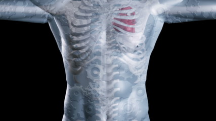 Grey digital skeleton with gears and cogs - Powered by Adobe