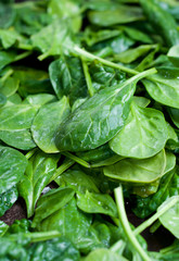 spinach leaves
