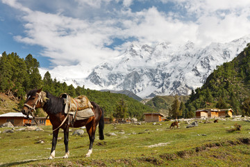 Nanga Parbat Landschaft, Himalaya, Pakistan