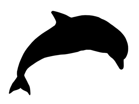 Silhouette eines springenden Delfins
