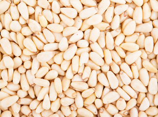 Pine nuts dry background with detail closeup