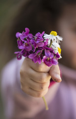 bouquet de violettes et pâquerettes