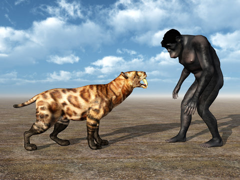 Homo Habilis - Human Evolution
