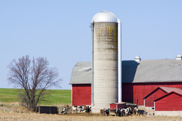American Farm © maksymowicz