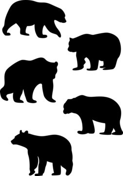silhouettes of bears