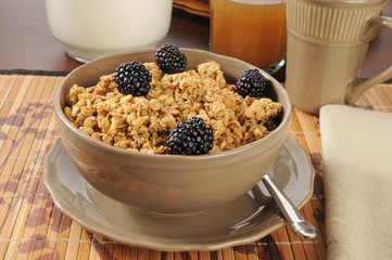 Granola cereal with blackberries