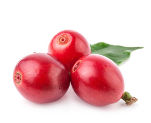 Red coffee beans isolated on white background