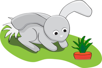 Baby Bunny staring at a Carrot Cartoon.