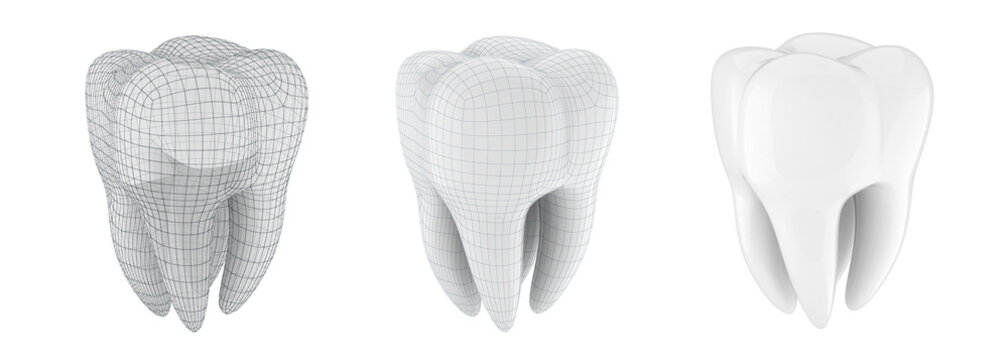 3d tooth on white background