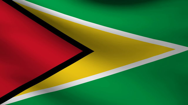 Guyana flag.