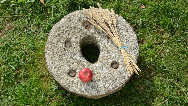 put wheat bunch and two red apples on old millstone