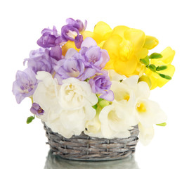 Beautiful bouquet of freesias in basket, isolated on white