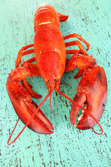 Red lobster on wooden table close-up