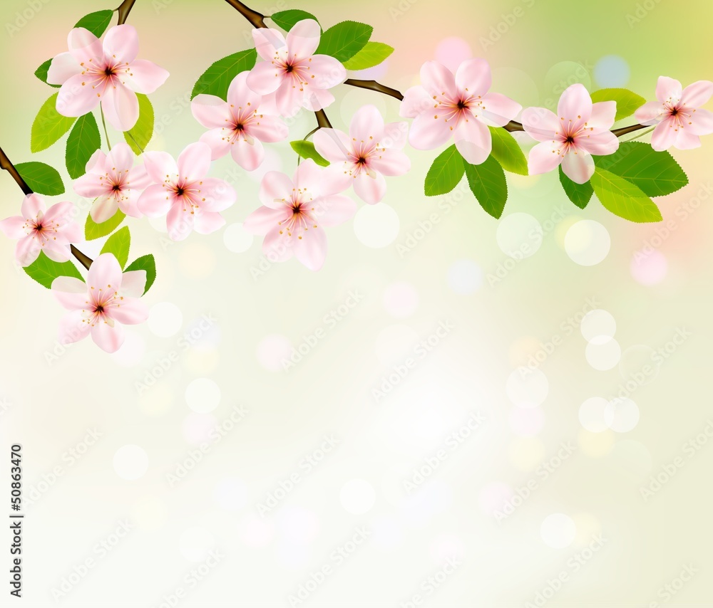 Aufkleber spring background with blossoming tree brunch with spring flower
