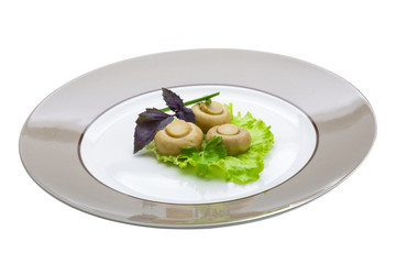 Ripe fresh Champignon