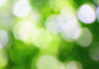 Obraz premium Spirng background