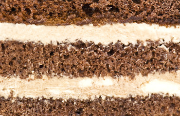 cake texture
