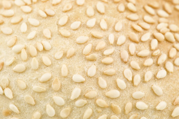 loaf with sesame seeds