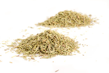 Rosemary. High resolution photography.