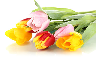 Obraz premium Beautiful tulips in bucket isolated on white