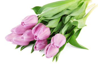 Beautiful bouquet of purple tulips, isolated on white