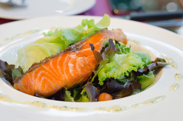 salmon and vegetable salad