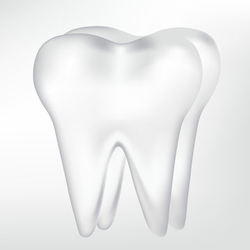 tooth design element. vector mesh illustration