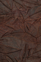 Brown leather texture closeup