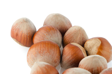 Fresh hazelnuts
